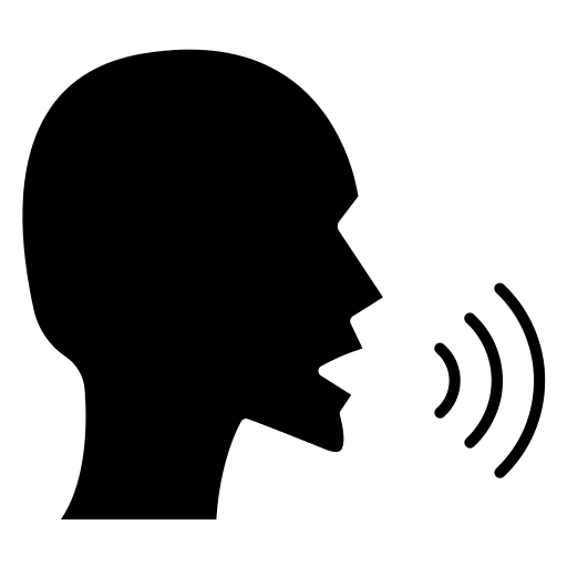 voice controls